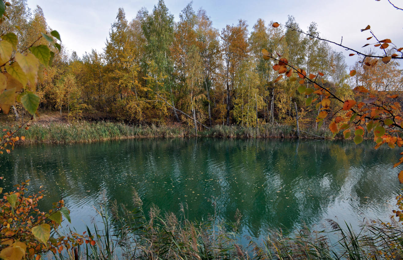 Романцевские горы, image of landscape/habitat.