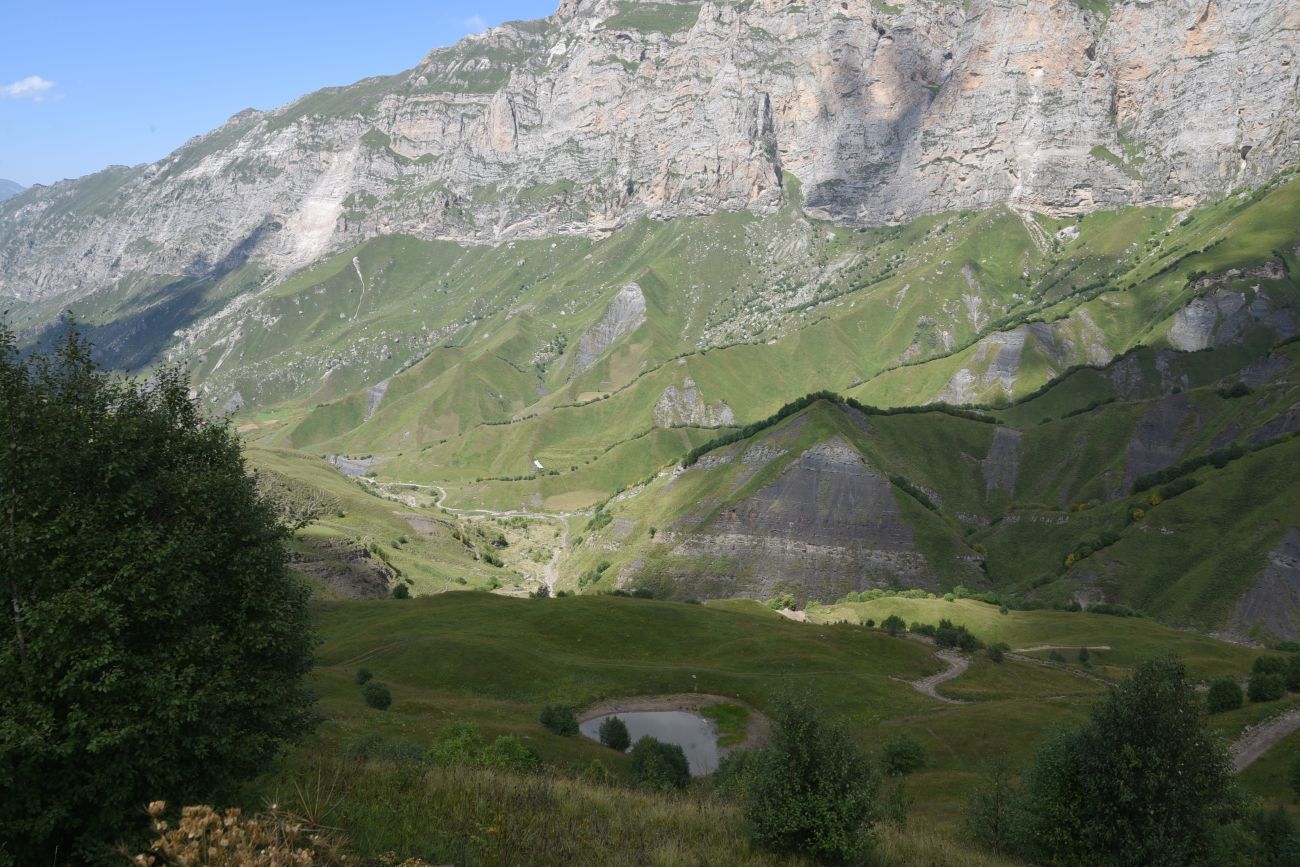 Урочище Хилиди, image of landscape/habitat.