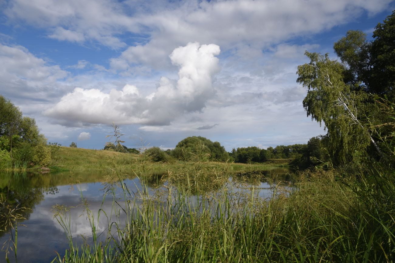 Деревня Гаи, image of landscape/habitat.