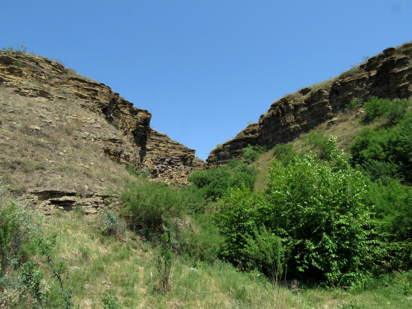 Кавказский Бор, изображение ландшафта.