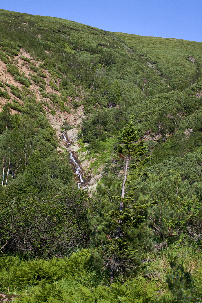 Тропа на "Чум", image of landscape/habitat.