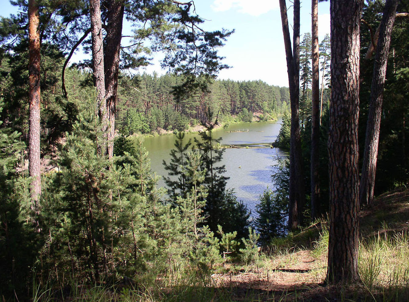 Чувашское Заволжье, image of landscape/habitat.