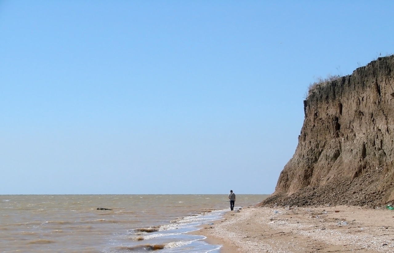 Берег Таганрогского залива, image of landscape/habitat.