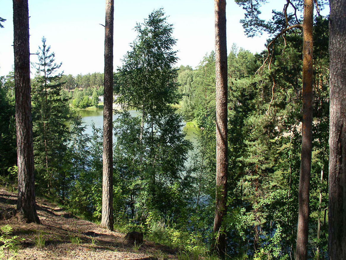 Чувашское Заволжье, image of landscape/habitat.