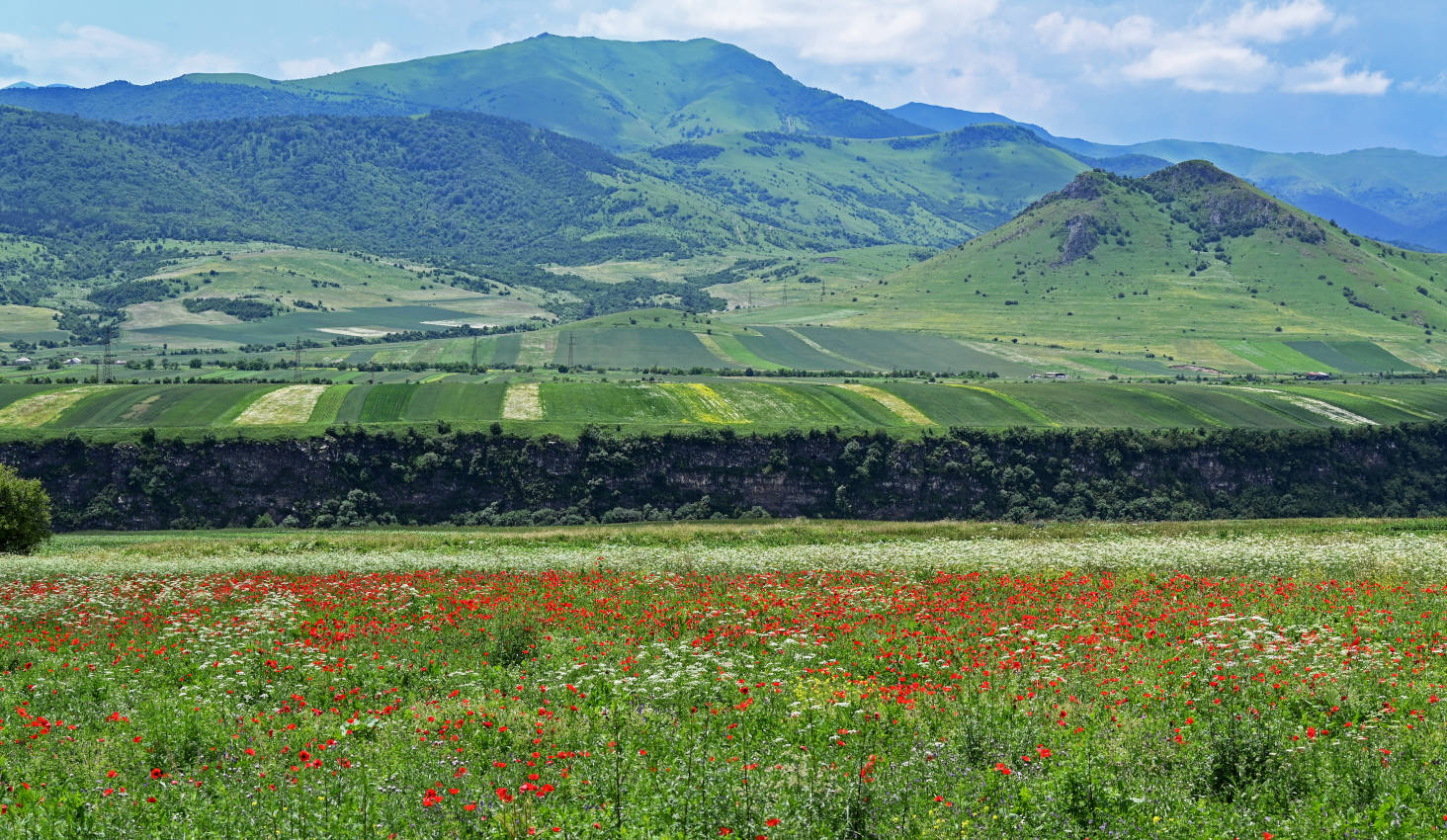 Лори Берд, image of landscape/habitat.