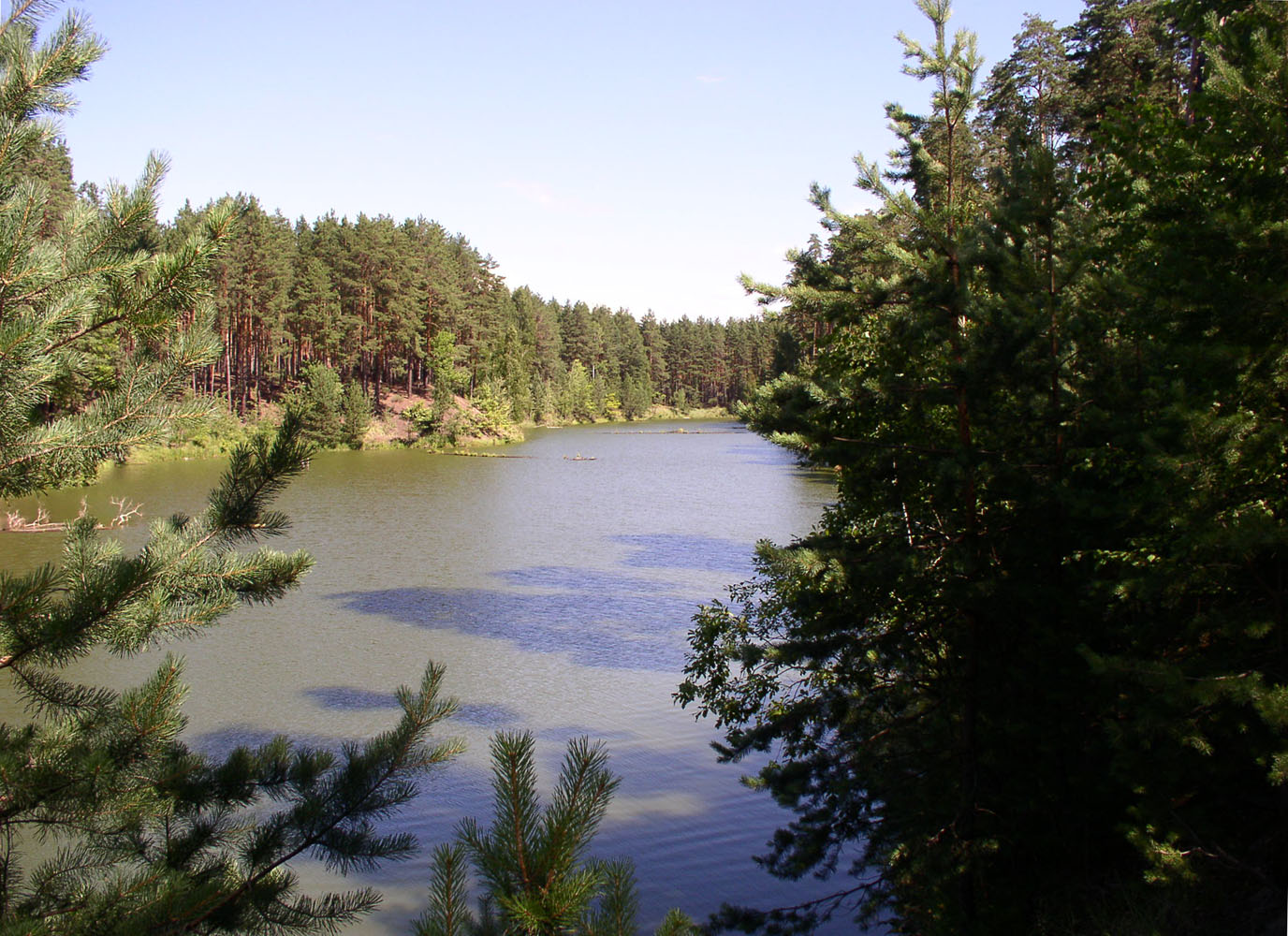 Чувашское Заволжье, image of landscape/habitat.