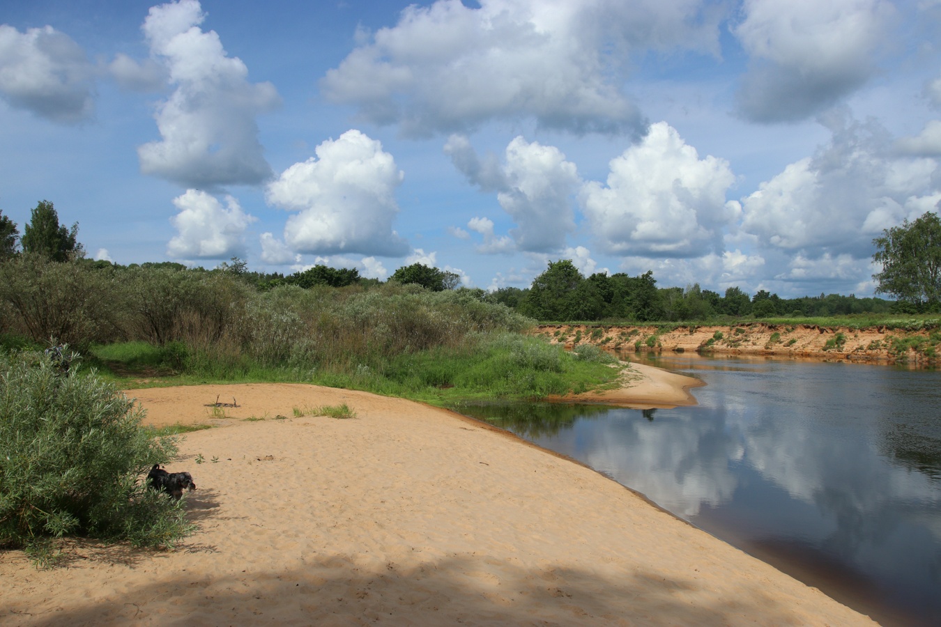 Луга у Кемки, image of landscape/habitat.