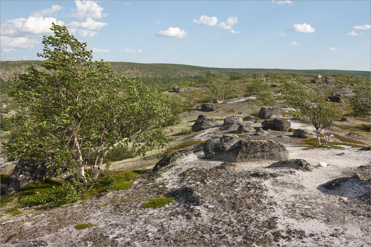 Макзабак, image of landscape/habitat.