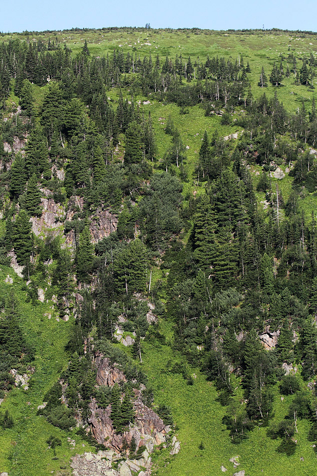 Тропа на "Чум", image of landscape/habitat.