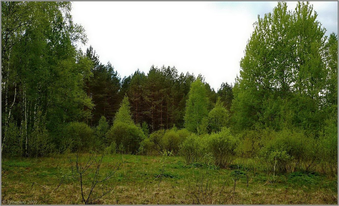 Первомайский район, image of landscape/habitat.