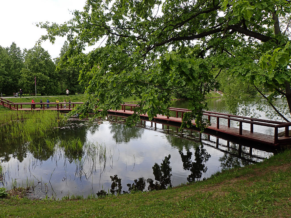 Воронцовский парк, image of landscape/habitat.