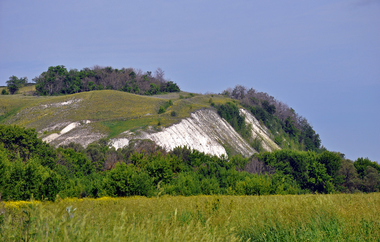 Дивногорье, image of landscape/habitat.