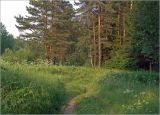 Image of landscape