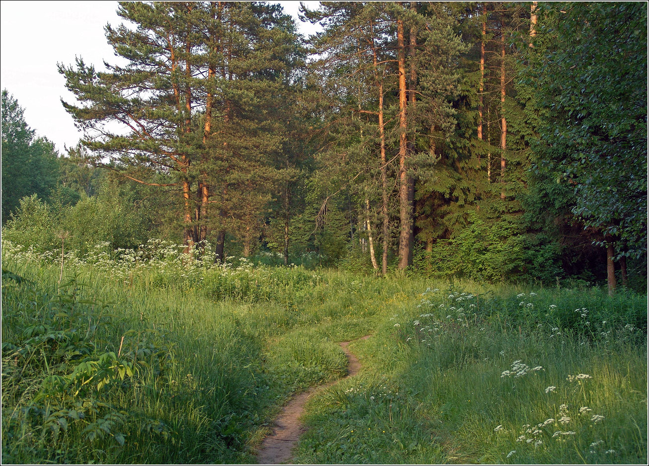 Окрестности Хрипани, image of landscape/habitat.