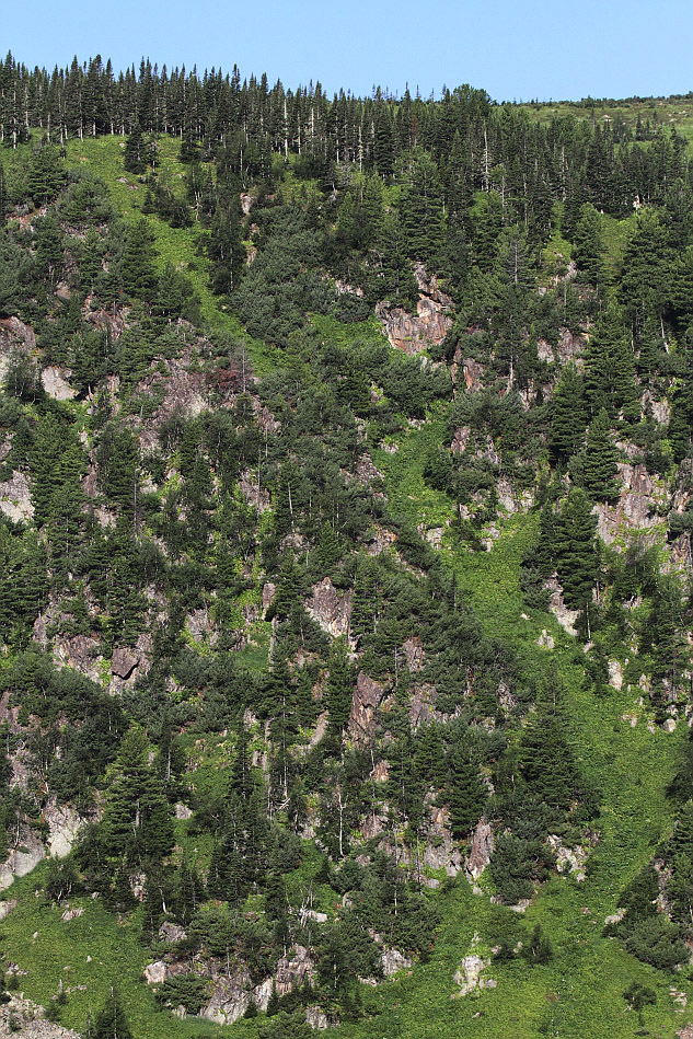 Тропа на "Чум", image of landscape/habitat.