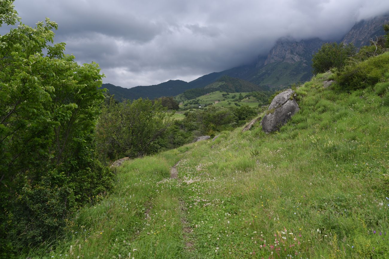 Озиг и окрестности, image of landscape/habitat.