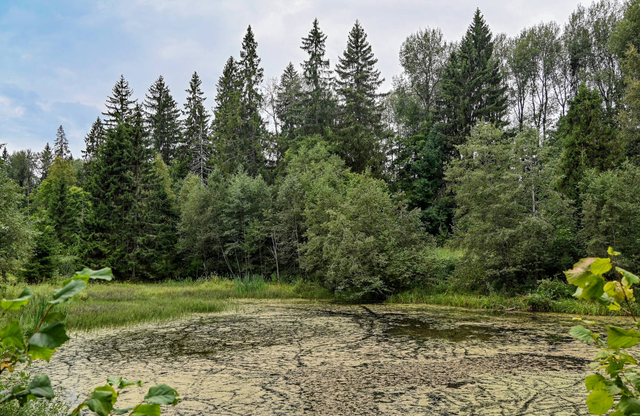 Долина реки Каменка, image of landscape/habitat.