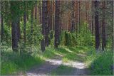 Image of landscape