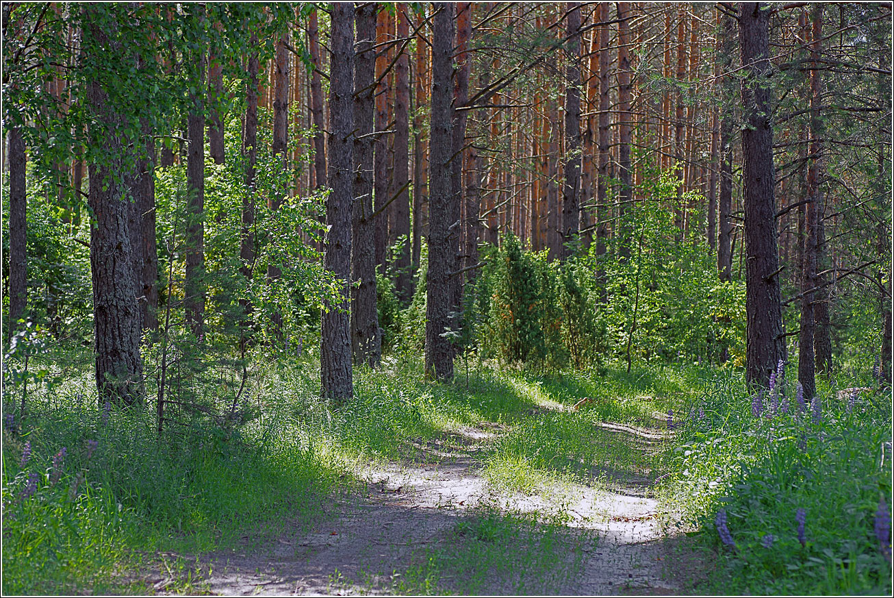 Митино, image of landscape/habitat.