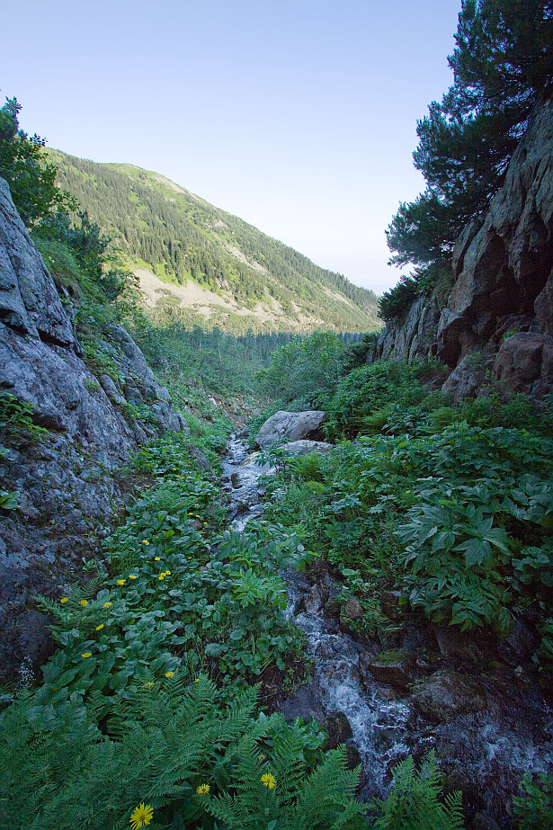 Тропа на "Чум", image of landscape/habitat.