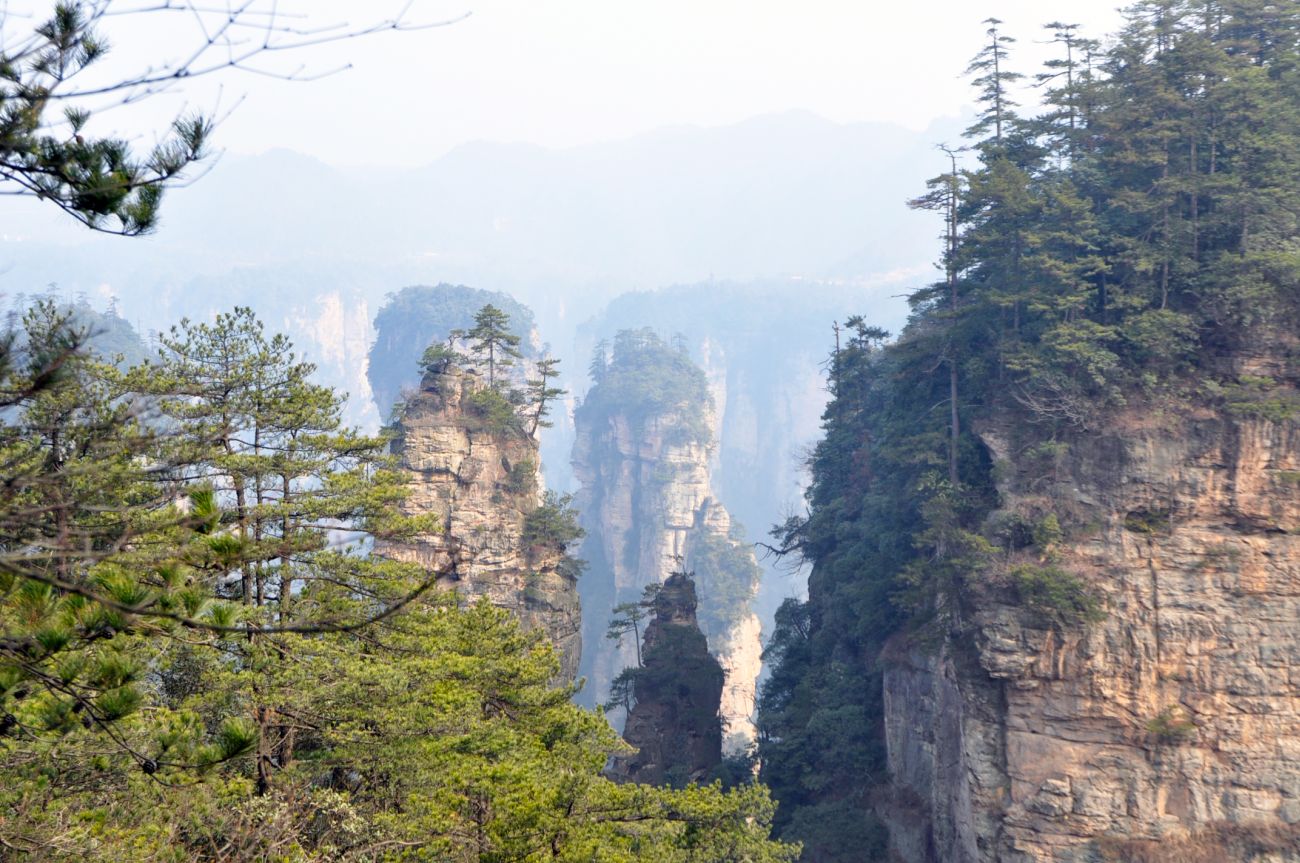 Национальный парк "Чжанцзяцзе", image of landscape/habitat.