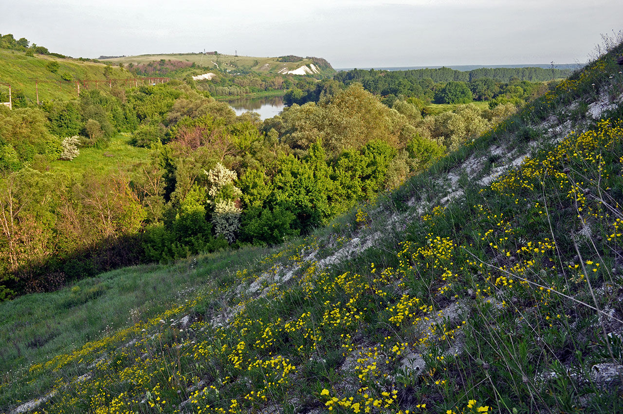 Шатрище, image of landscape/habitat.