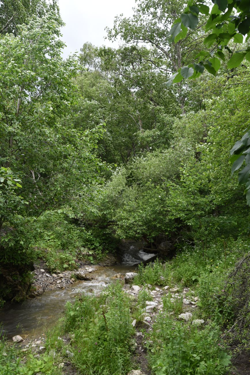 Озиг и окрестности, image of landscape/habitat.