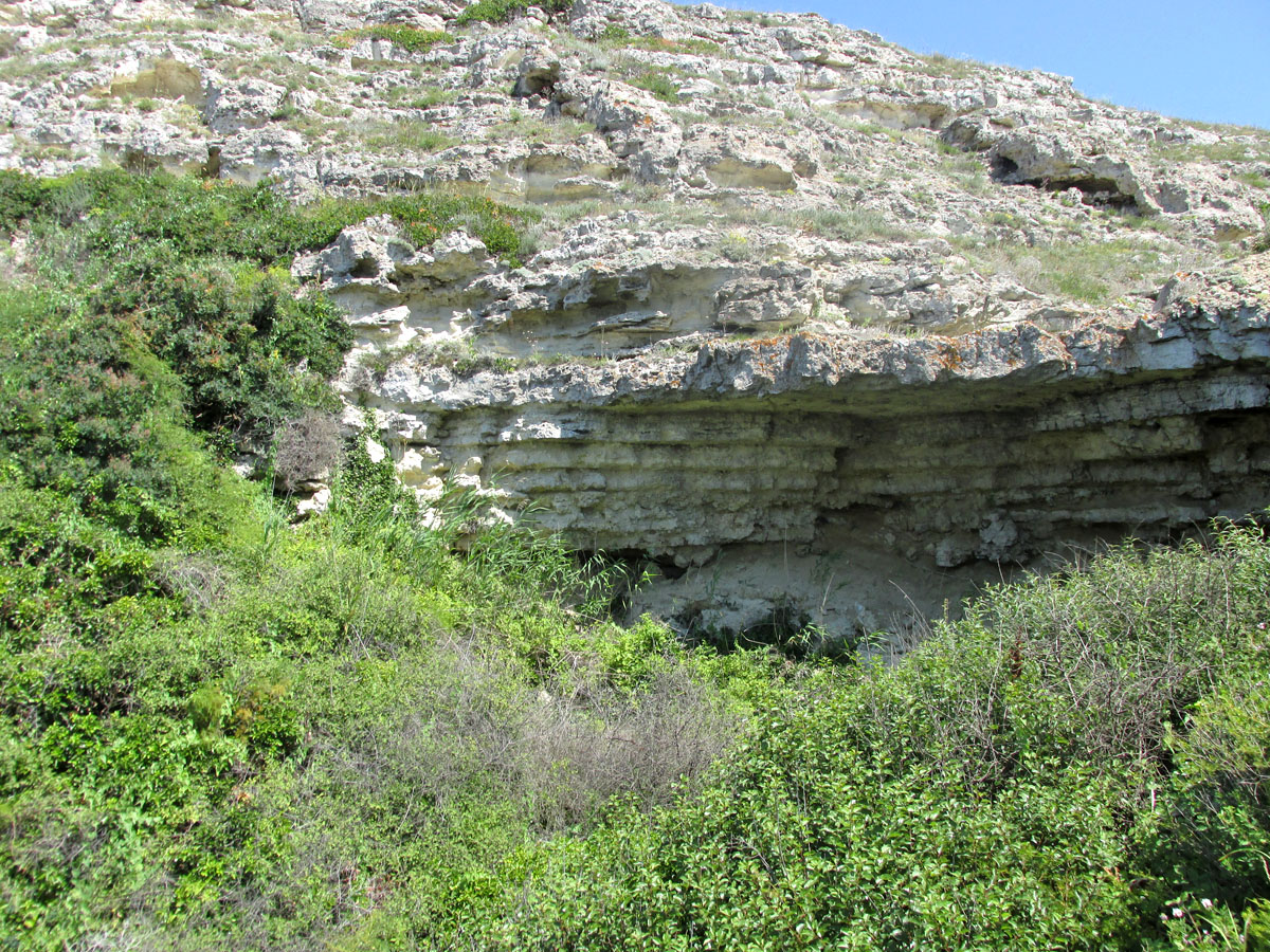 Джангуль, image of landscape/habitat.