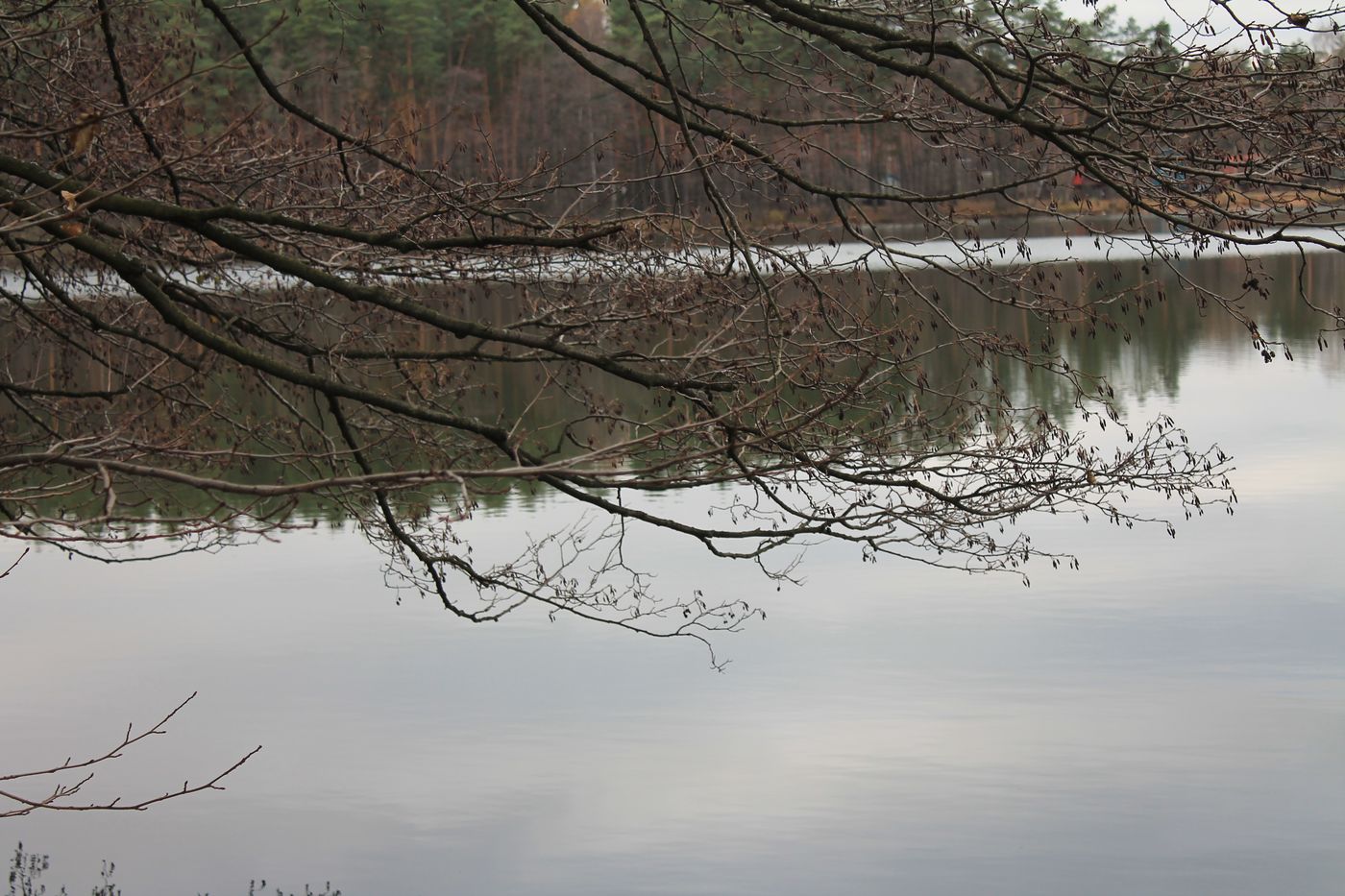 Озеро Белое, image of landscape/habitat.