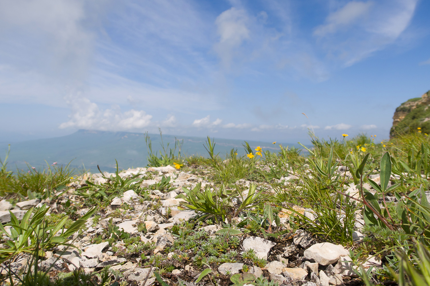 Джисса, image of landscape/habitat.