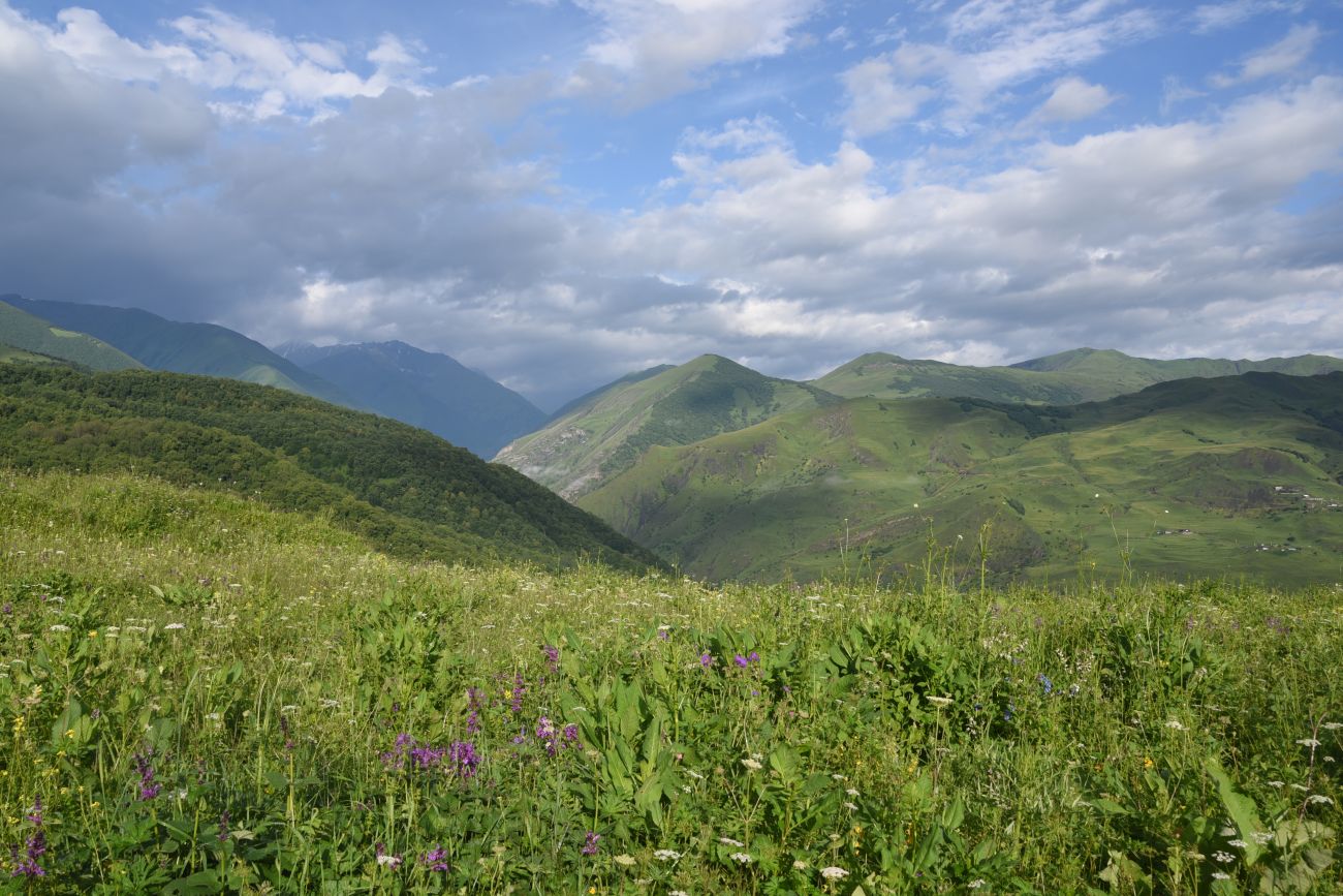 Хакмадой, image of landscape/habitat.