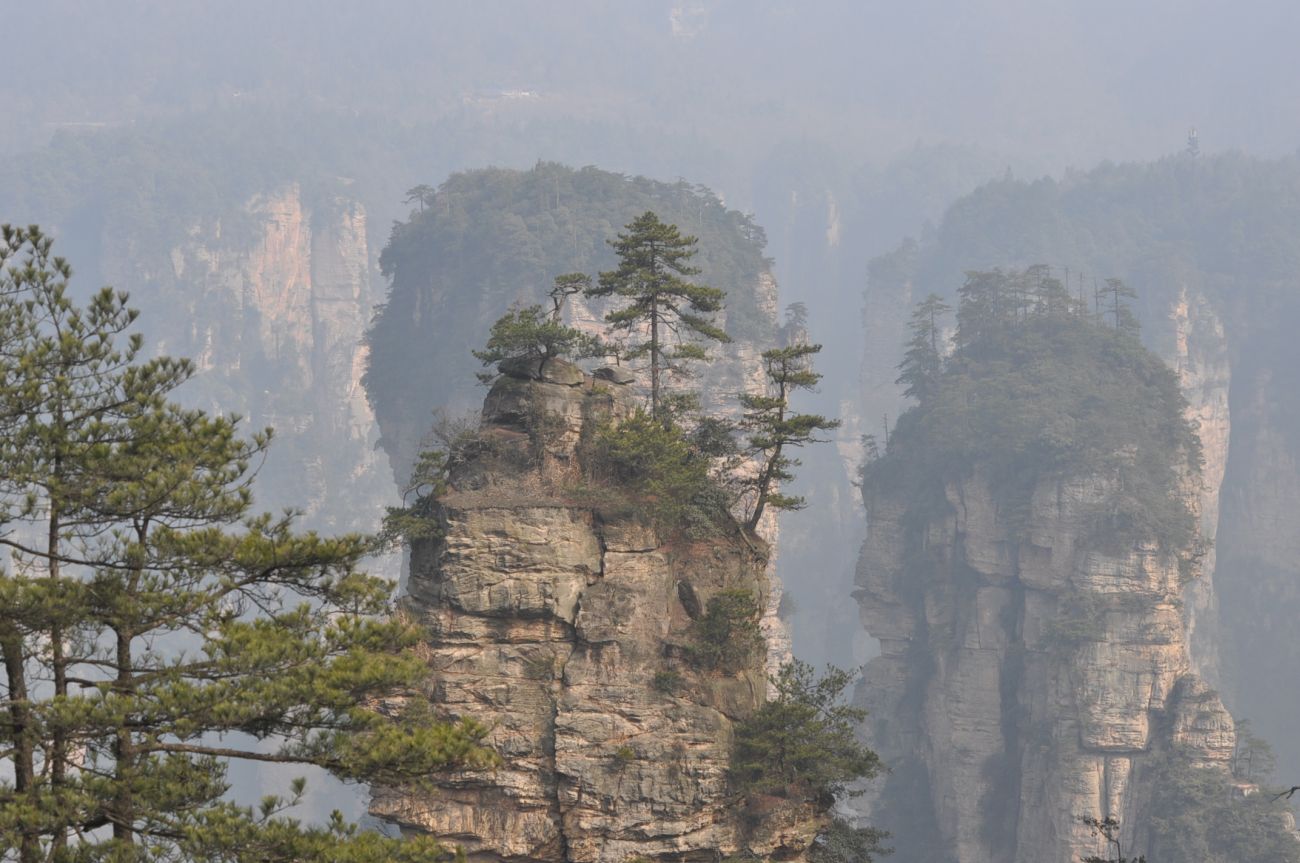 Национальный парк "Чжанцзяцзе", image of landscape/habitat.