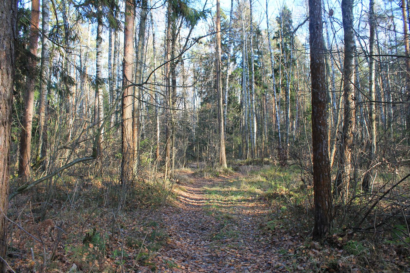 Озеро Белое, image of landscape/habitat.