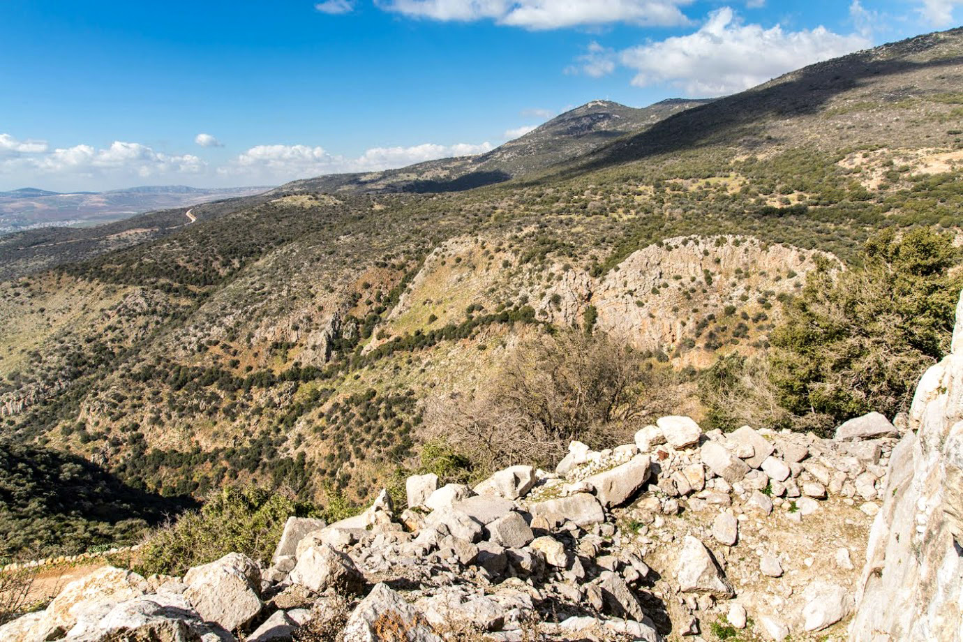 Голанские высоты, image of landscape/habitat.