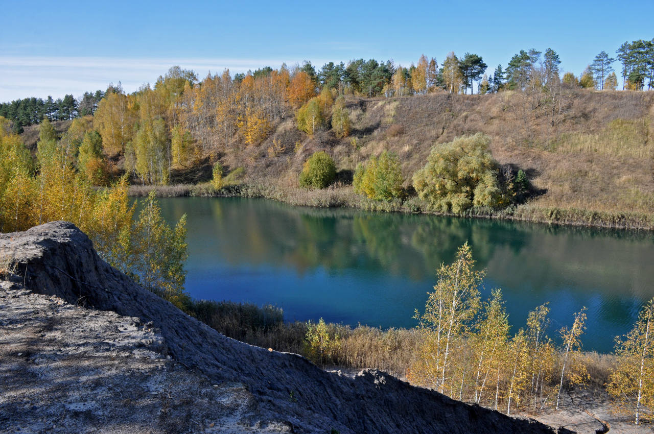 Окрестности села Люторичи, image of landscape/habitat.