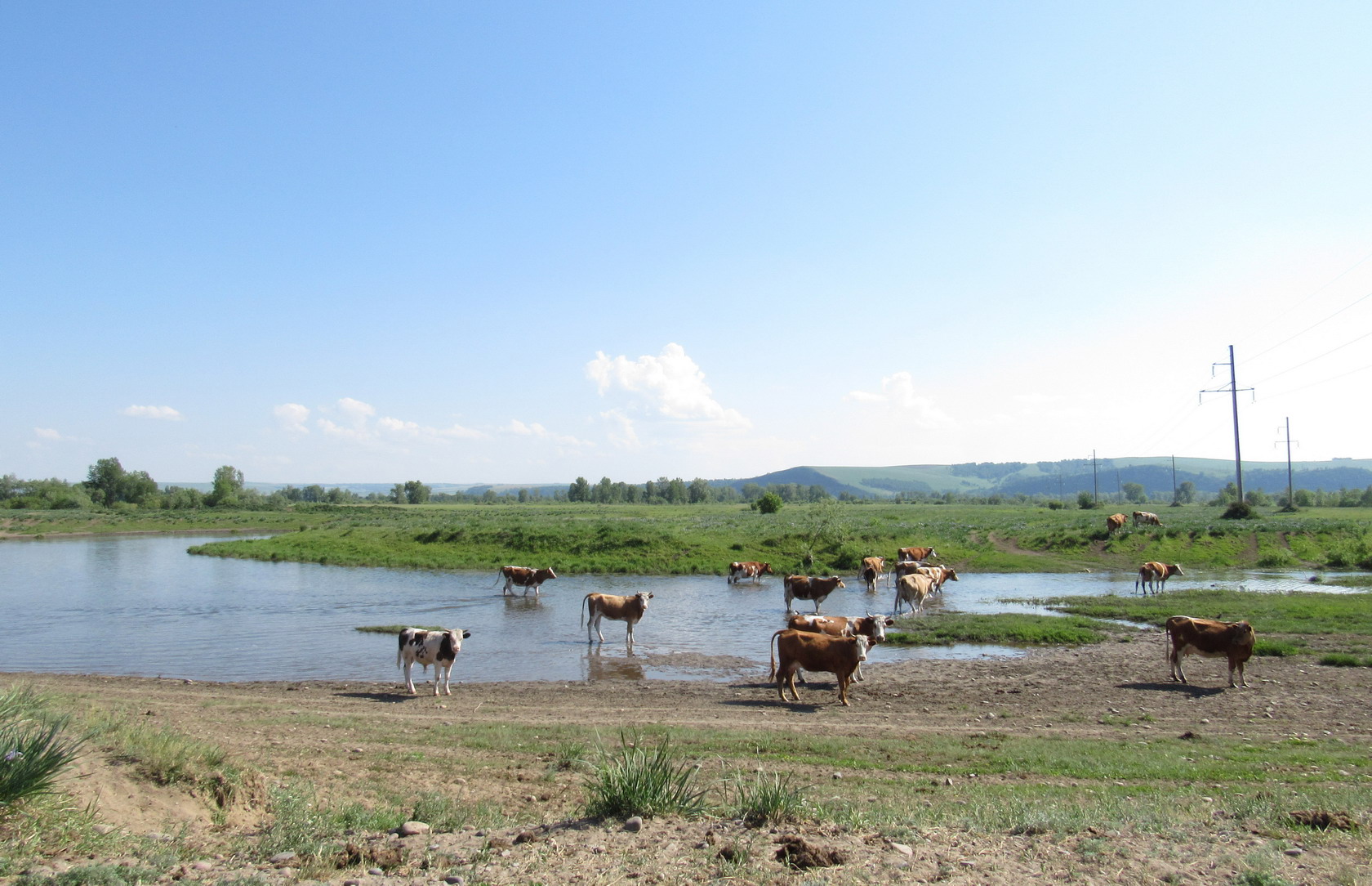 Кавказский Бор, image of landscape/habitat.