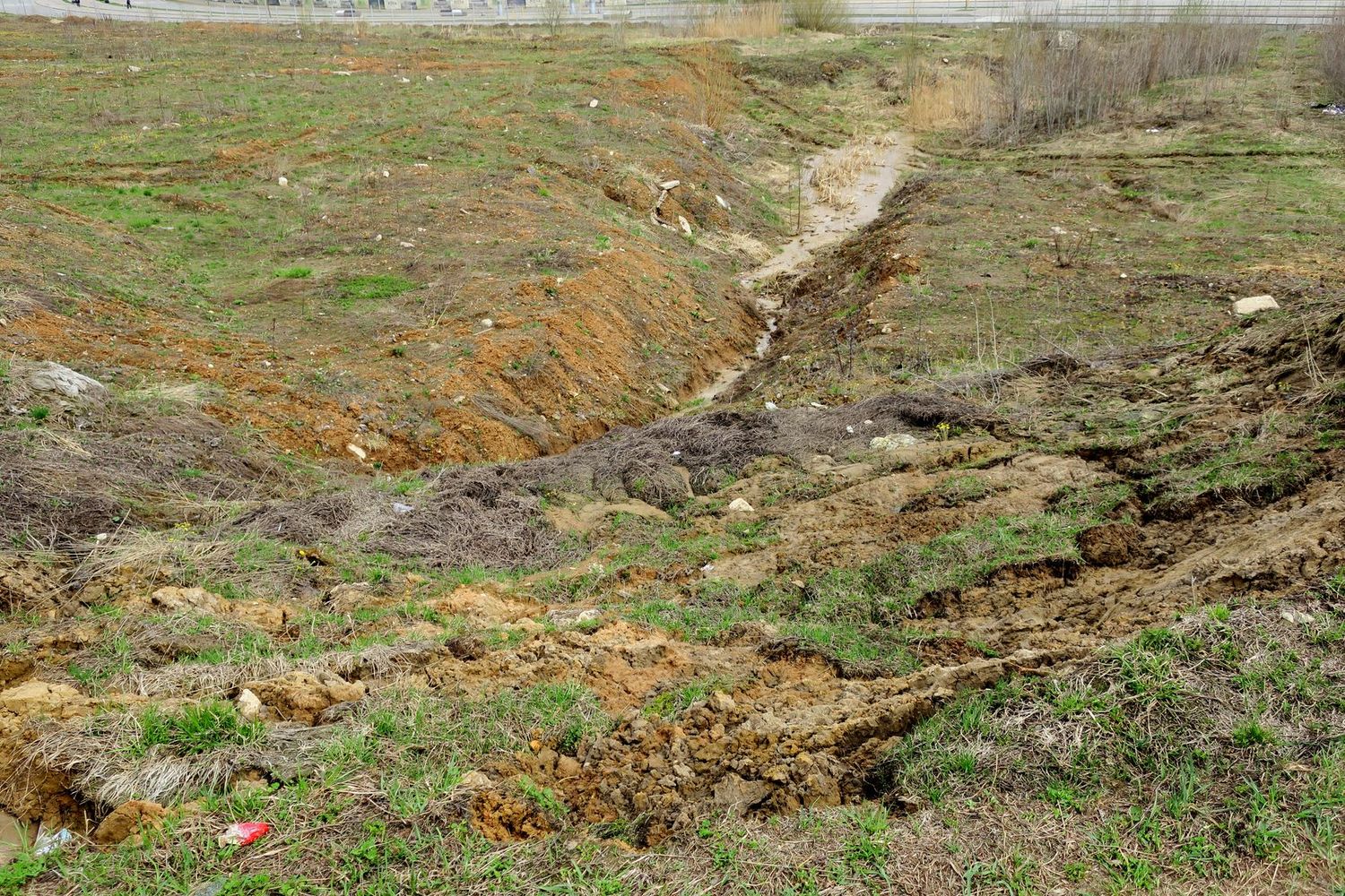 Сколково, image of landscape/habitat.