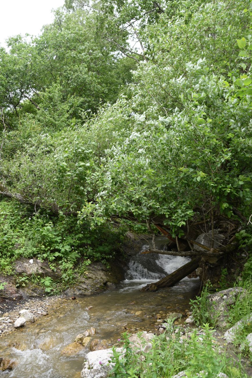 Озиг и окрестности, image of landscape/habitat.