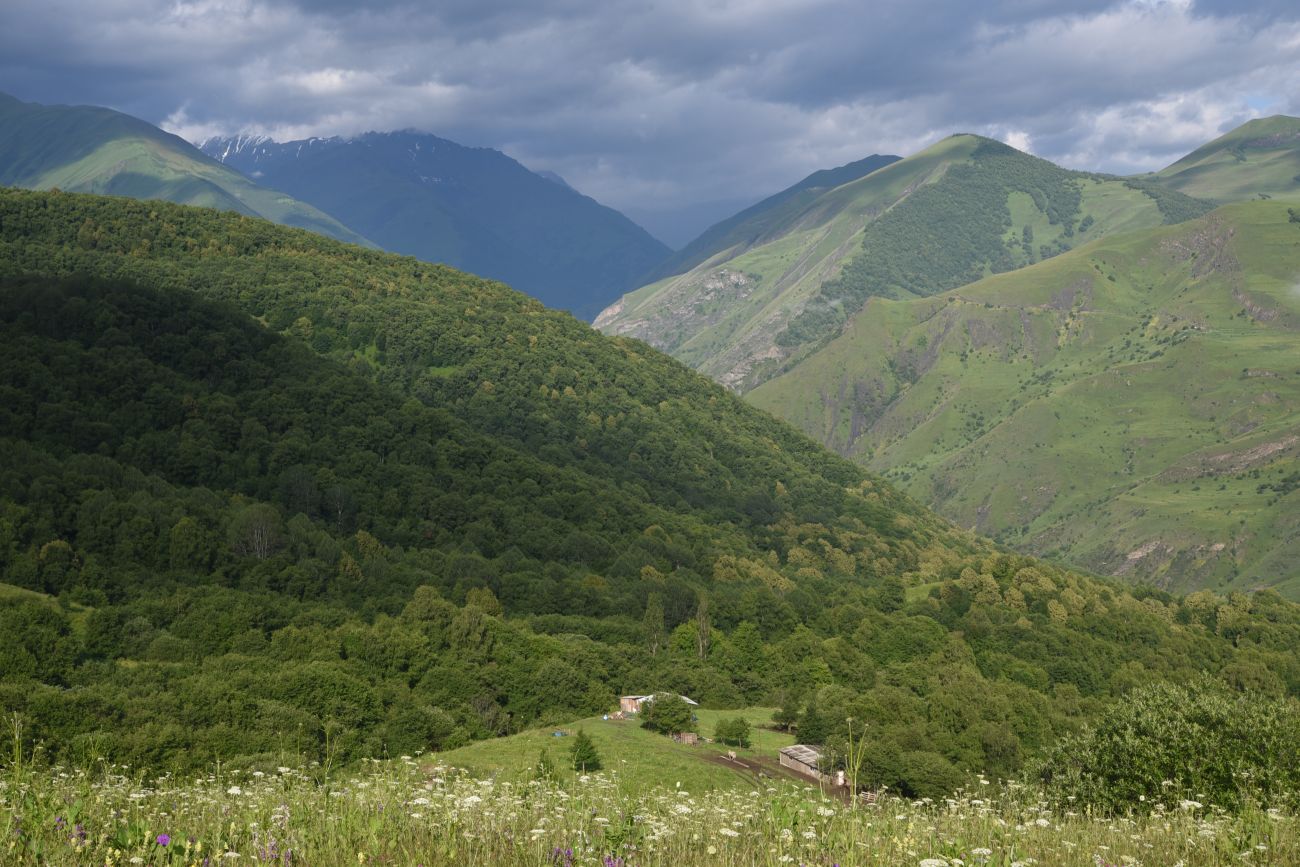Хакмадой, image of landscape/habitat.