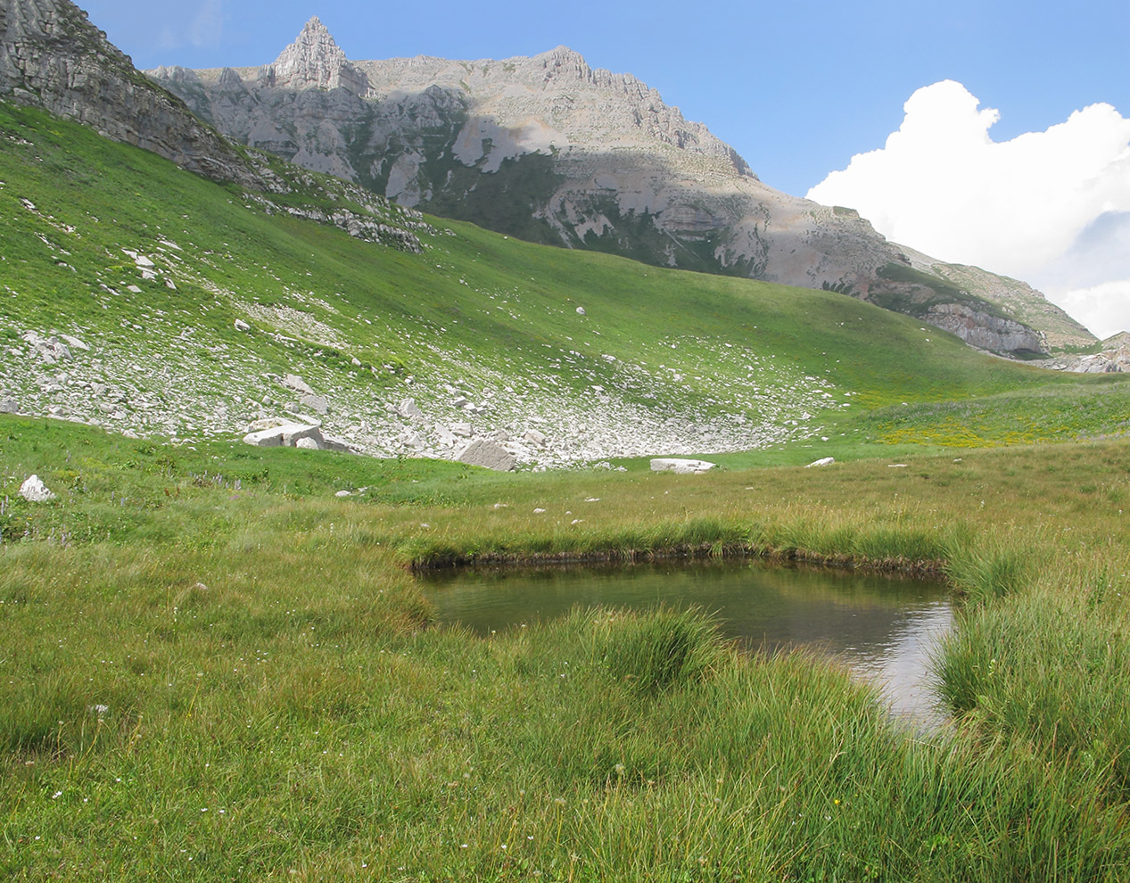 Юго-восточный отрог Оштена, image of landscape/habitat.