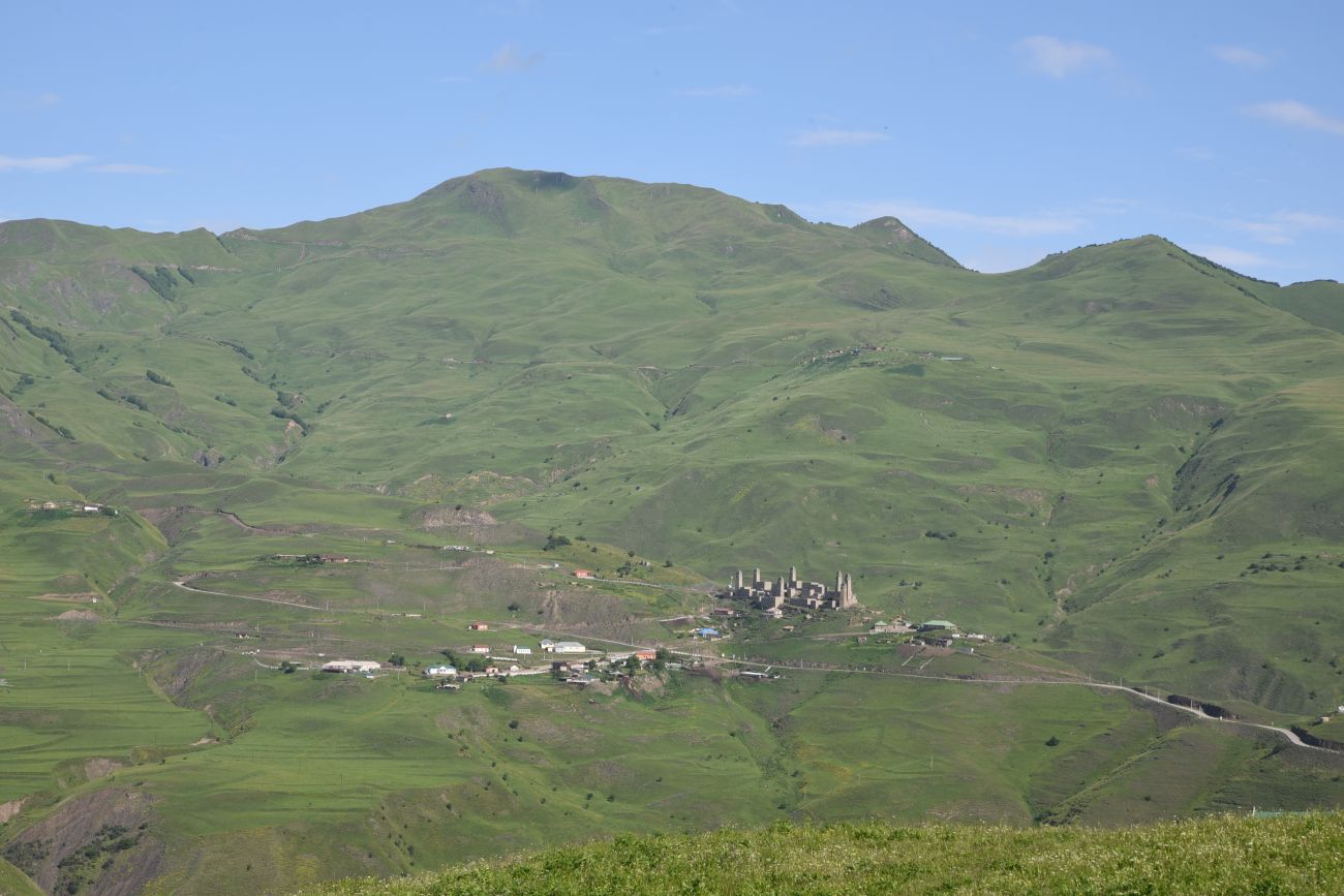 Шарой, image of landscape/habitat.