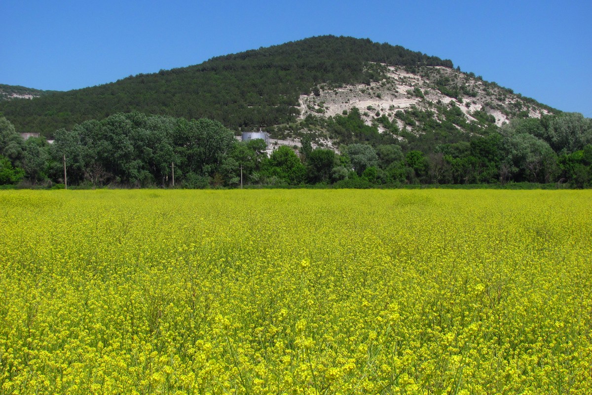 Инкерман, image of landscape/habitat.