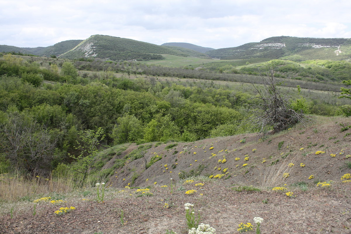 Крымский геологический полигон, image of landscape/habitat.