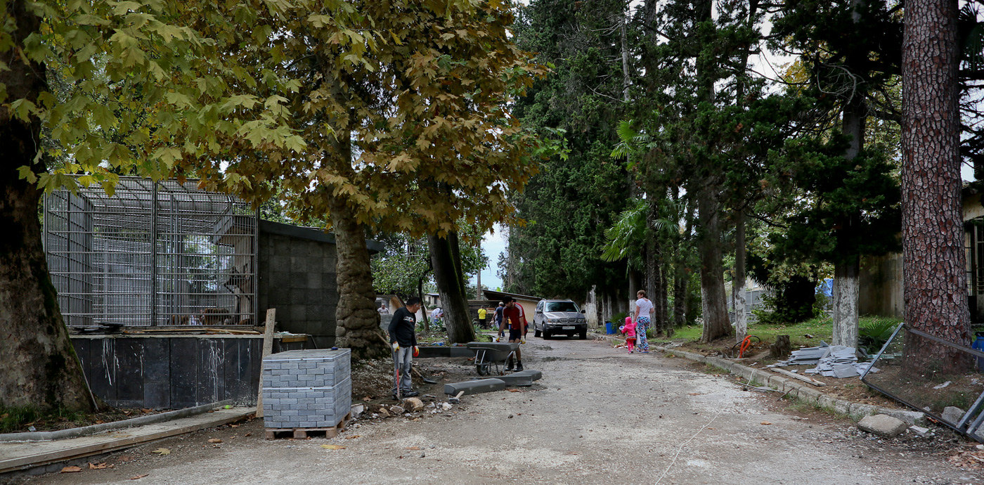 Сухум, image of landscape/habitat.