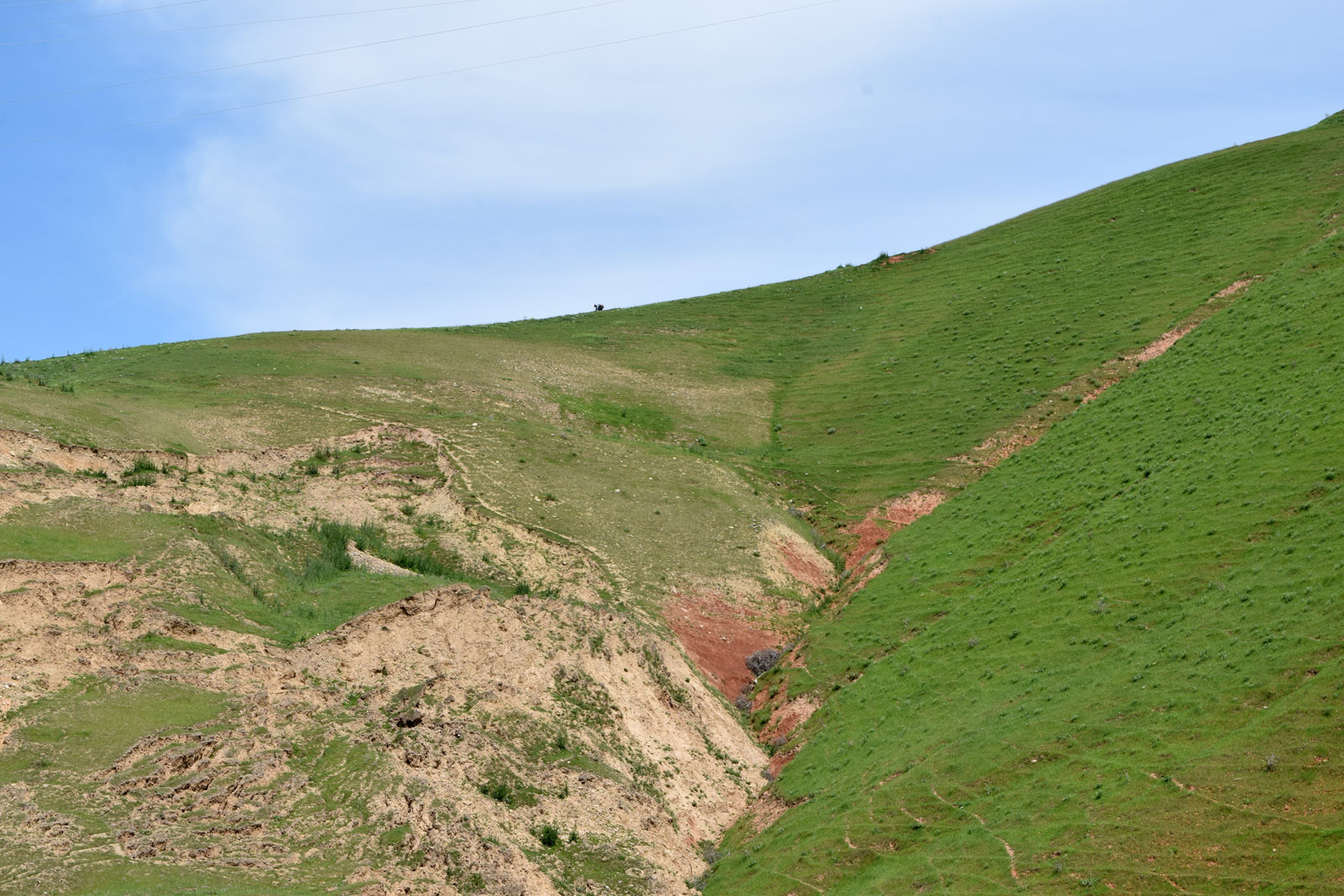 Окрестности города Ханабад, image of landscape/habitat.