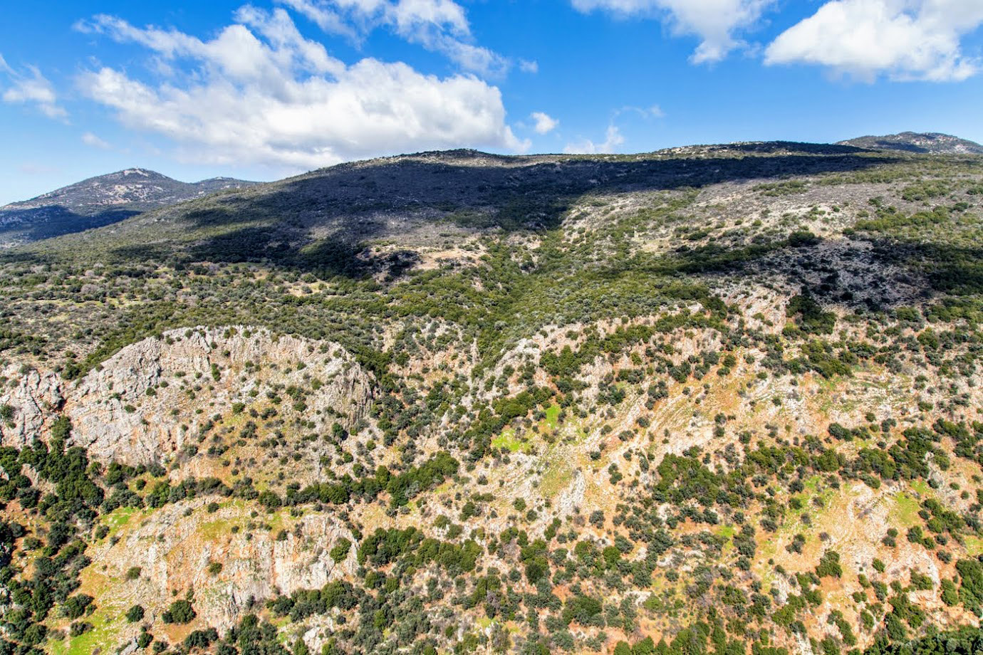 Голанские высоты, image of landscape/habitat.