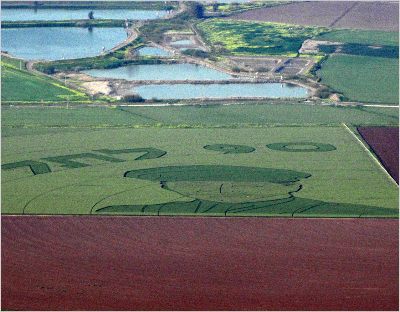 Горы Гильбоа, image of landscape/habitat.