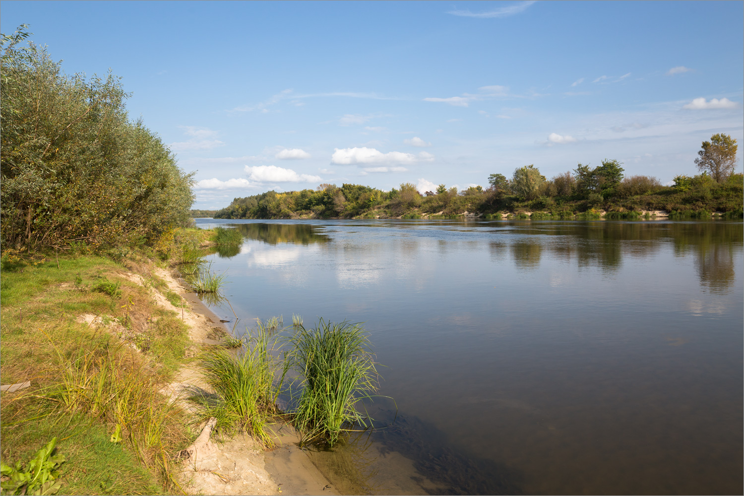 Стрелка Оки и Клязьмы, image of landscape/habitat.