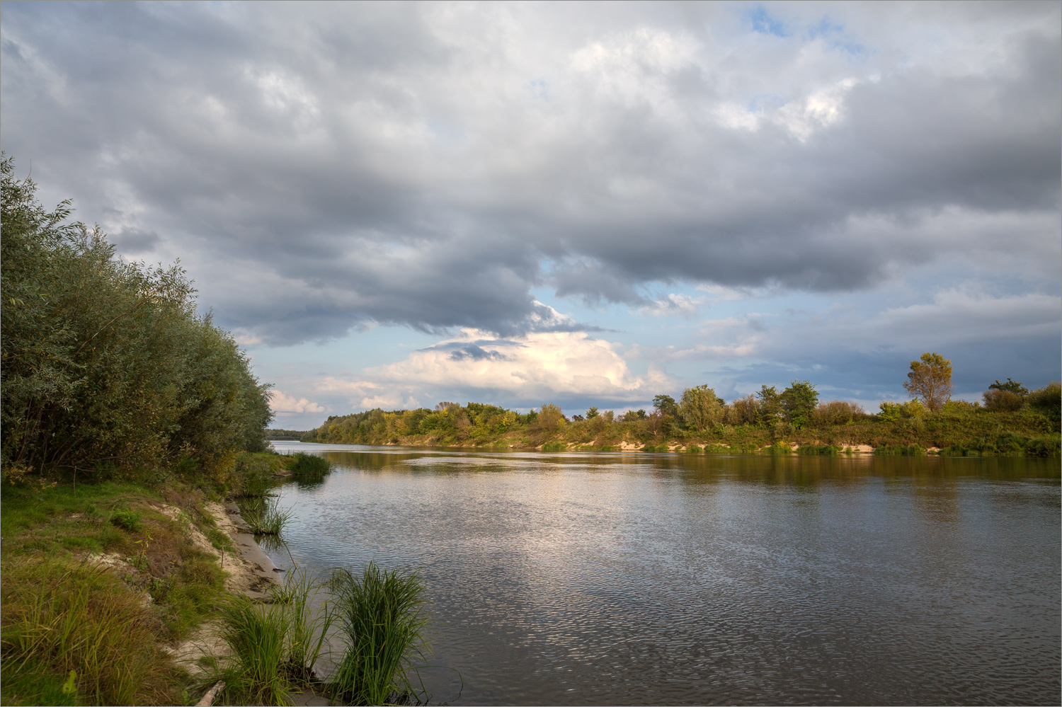 Стрелка Оки и Клязьмы, image of landscape/habitat.