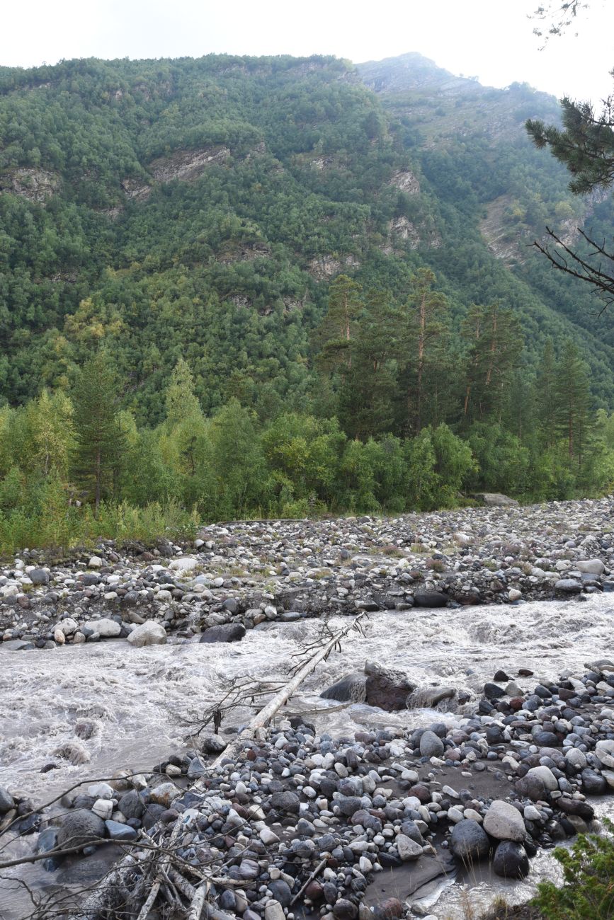 Северный склон горы Чегет, image of landscape/habitat.